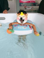 -王子羊孕婴童连锁(水景店)