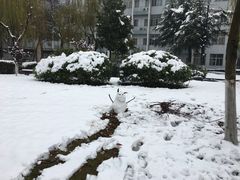 -杭州师范大学(下沙校区)