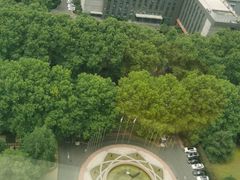 -南京维景国际大酒店(南京博物院店)