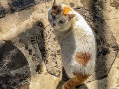 -终南山南五台景区