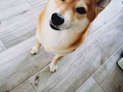 -瑞霖·隆江猪脚饭