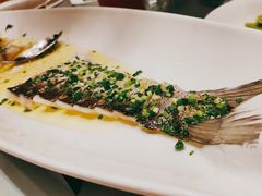 -沪碟·精菜坊(闵行店)
