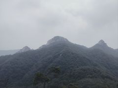 -沂蒙山旅游区云蒙景区(蒙山国家森林公园)