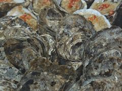 -蚝哥花姐湛江烤生蚝(美丽湾市场店)