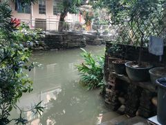 -小洲村