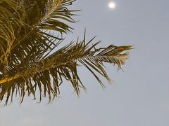 -JW万豪厨房餐厅·滨海草坪烧烤·海鲜·海景(三亚绿发山海天JW万豪酒店)