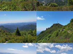 -白草畔自然风景区