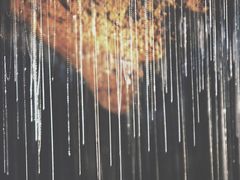 -怀托摩萤火虫洞