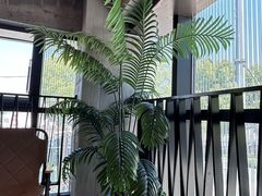 -喜马拉雅森(运河汇1958店)