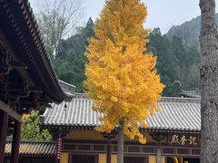 -四门塔风景区