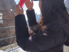 -崂山巨峰游览区