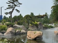 -罗红摄影艺术馆