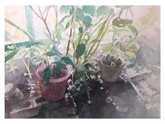 -黑骏画室·深圳美术中高考黄埔军校