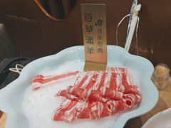 -百草滩羊清水涮羊肉(长城路店)