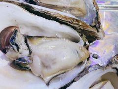 招牌炭烤生蚝-半岛私房菜(梅林店)