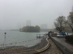 -天鹅湖体育公园