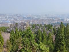 -原山国家森林公园