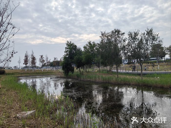 滨海公园图片