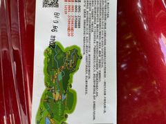 -西双版纳原始森林公园