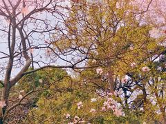 -杭州植物园