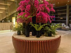 -深圳观澜格兰云天国际酒店