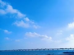 -南汇嘴观海公园