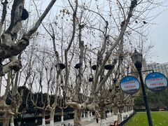 -辛亥革命博物院北区