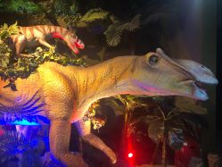 -恐龙探索乐园(磁器口店)