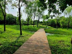 -东郊湿地公园