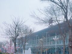 -威海大水泊国际机场