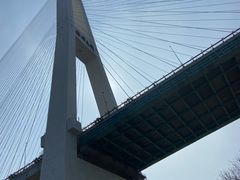 -上海山野camping·户外天幕烧烤·团建拓展营地