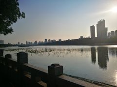 -南宁南湖公园