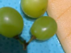 -海鲜e族(马王堆店)