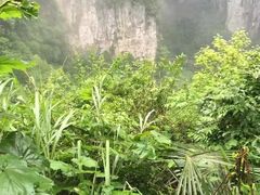 -武隆天坑地缝国家地质公园