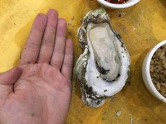 -蚝专家(北滘店)