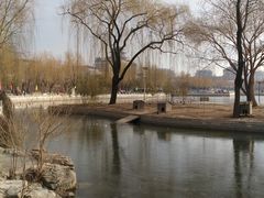 -莲花池公园