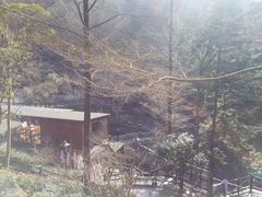 -宁海森林温泉