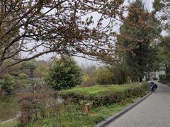 -成都南湖公园