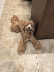 -WAVE SODA摄影工作室