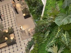 -DQ·蛋糕·冰淇淋(五棵松万达店)