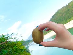 -楠溪江风景名胜区