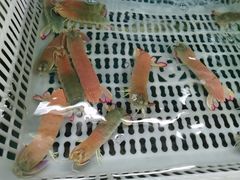 -崖口红树林海鲜餐厅