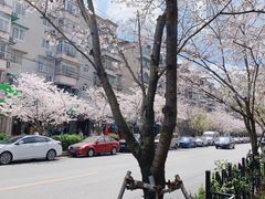 -永乐路-路侧停车场