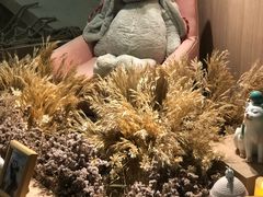 -藦茜花园宠物主题亲子互动体验馆(国顺东路店)