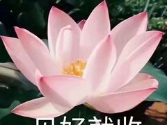 -广州保龄球馆(广州天河体育中心店)