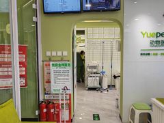 -悦宠动物医院(京丰分院)