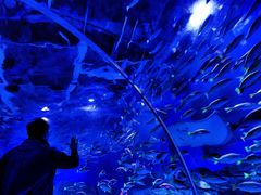 -顺德南宏海立方海洋公园