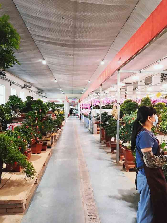 众兴园林花木绿植中心-"作为一个资深买花专业户我强烈推荐众兴. .