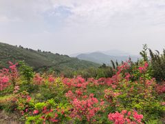 -缥缈峰景区