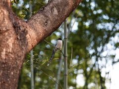 -苏州河梦清园环保主题公园